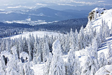 Fernbus Skiurlaub in Deutschland