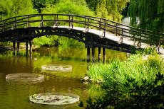 Gartenparks Fernbus